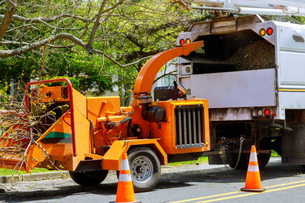 Mulching Services in Belleville, IL